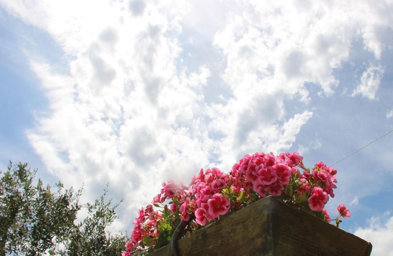 Il Sole Di Poggi Bed & Breakfast อิมเปรีอา ภายนอก รูปภาพ