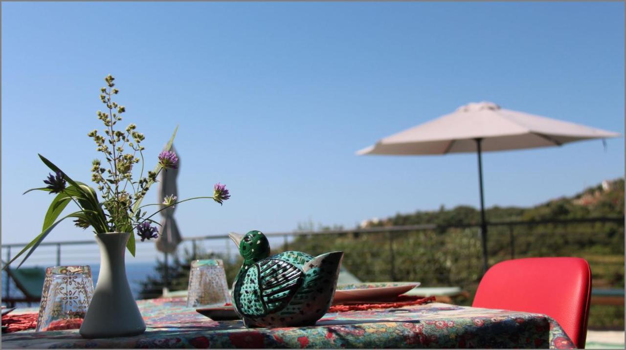 Il Sole Di Poggi Bed & Breakfast อิมเปรีอา ภายนอก รูปภาพ
