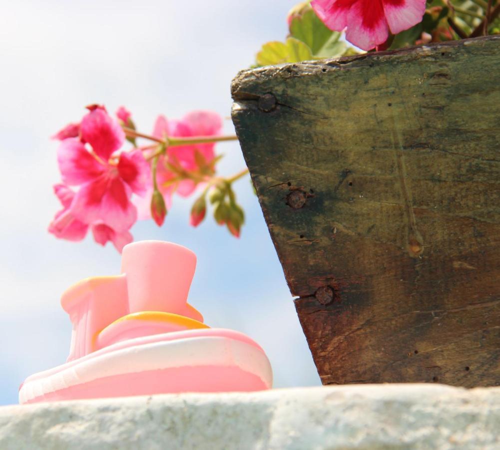 Il Sole Di Poggi Bed & Breakfast อิมเปรีอา ภายนอก รูปภาพ